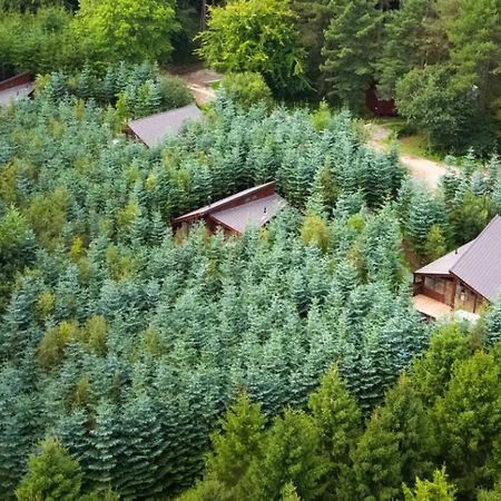 Delamere Forest Cabins - Forest Holidays Mouldsworth Kültér fotó